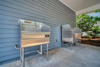 Pet wash